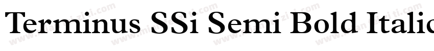 Terminus SSi Semi Bold Italic字体转换